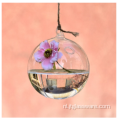 Hangend glazen terrarium Mooie creatieve glazen vaas